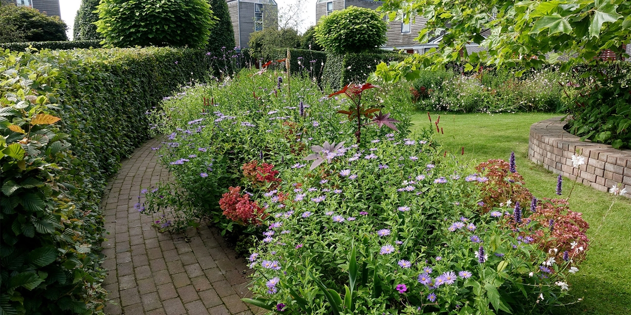 gebogen tuinpaden