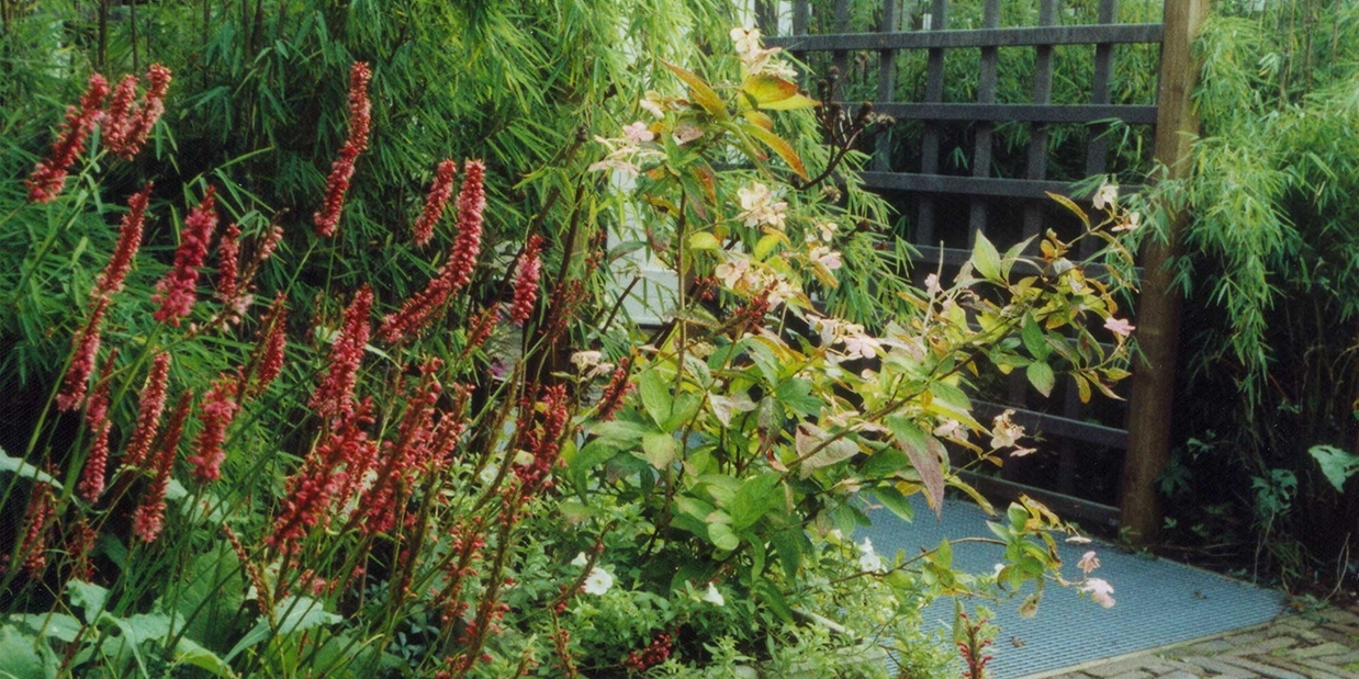 vasteplantenborder