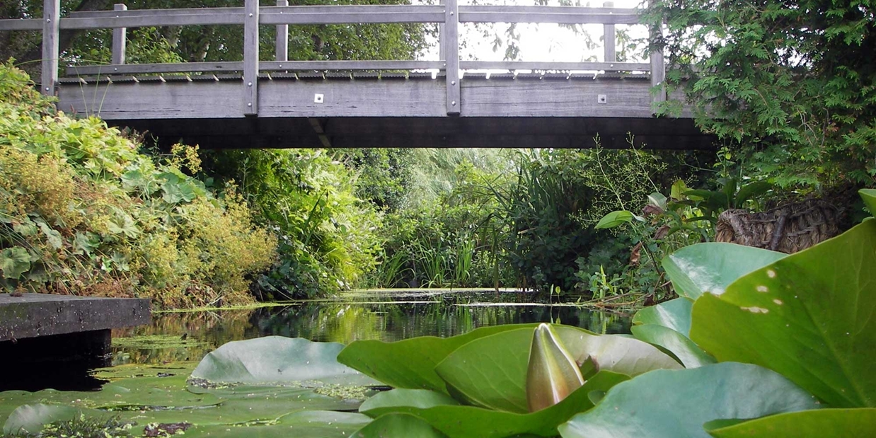 houten brug