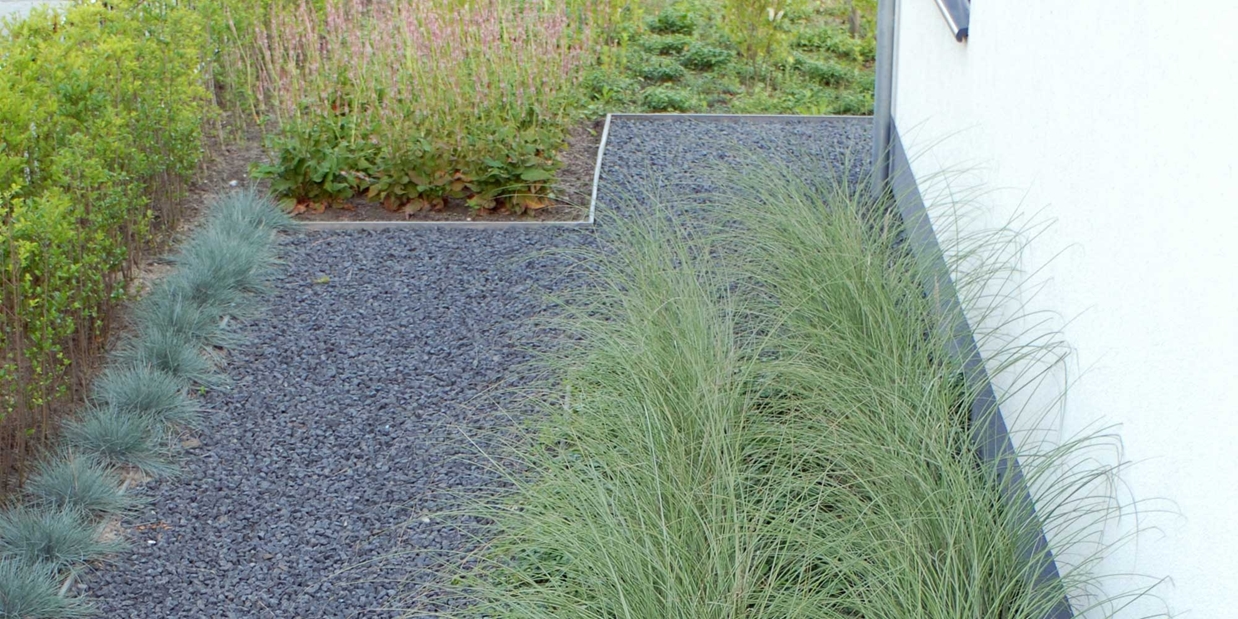 siergras in de tuin