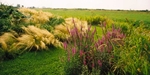 landschappelijke tuin