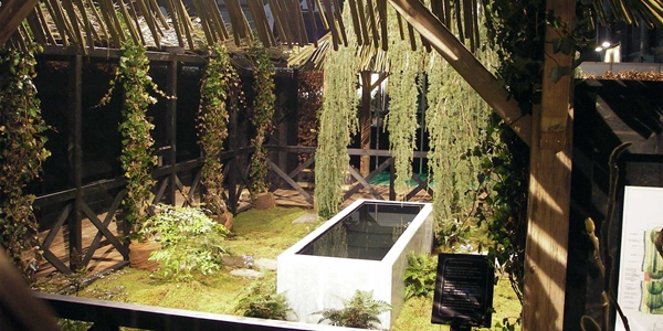 moderne waterbak in klassieke tuin
