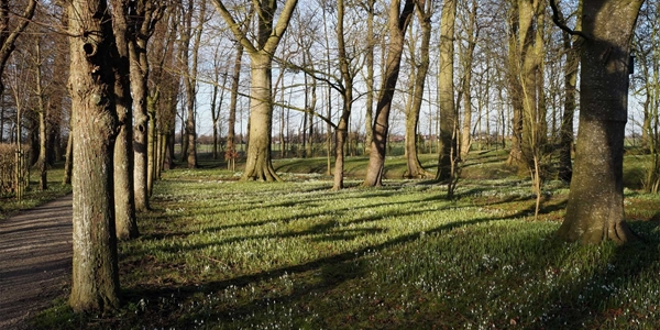 tuinarchitectuur Linum