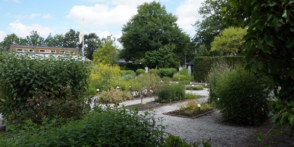 medicinale tuin