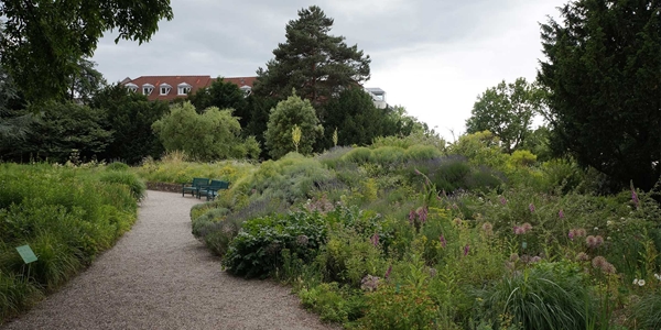 natuurlijke border