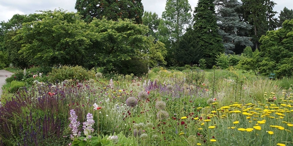 prairieborder