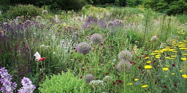 natuurlijk tuinieren