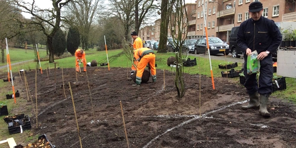 uitzetten en aanbrengen beplantingen