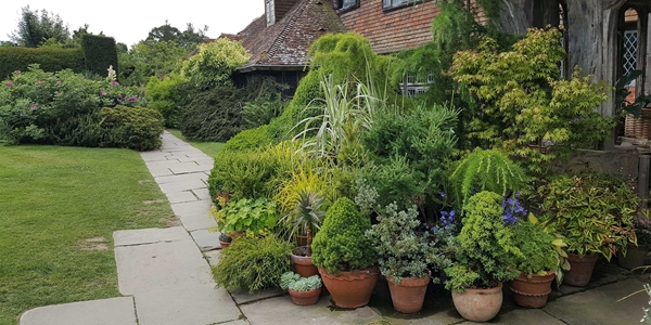 pottenborder Great Dixter