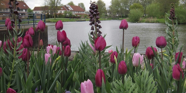 textuurverschil bollen